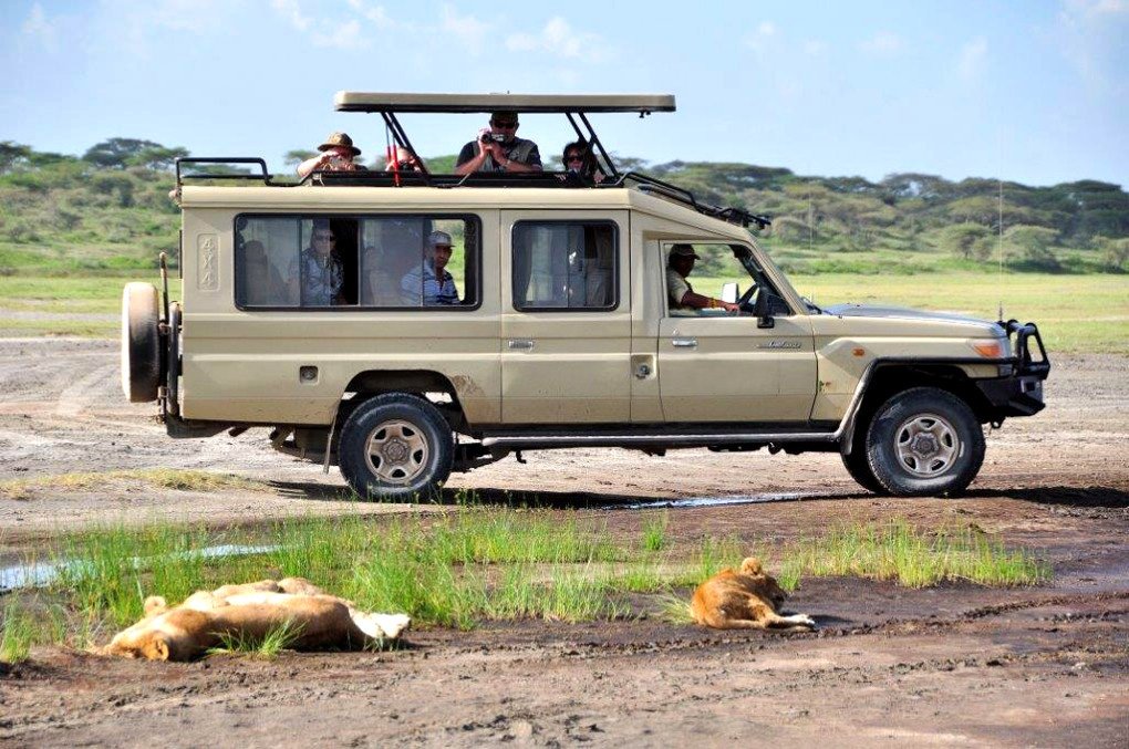 Toyota Land Cruiser Safari